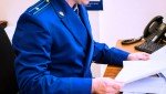 В преддверии Международного дня защиты детей работниками прокуратуры для воспитанников детского дома организована экскурсия